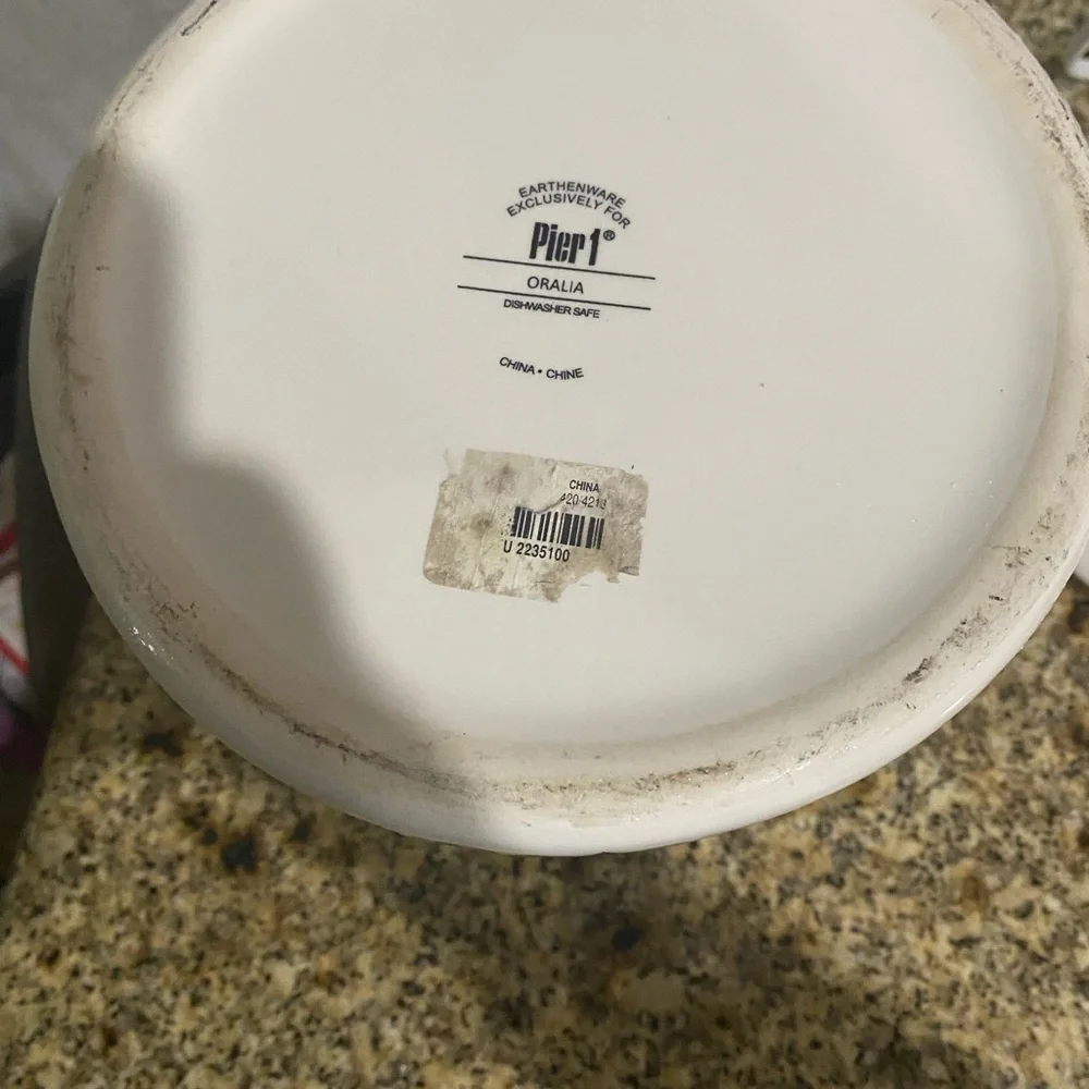Pier 1 Earthenware Oralia Mediterranean Floral Discontinued Ceramic 11”Canister